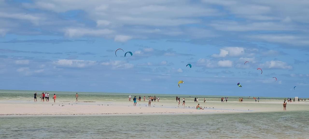 Arte Sano Vegan 3* Isla Holbox