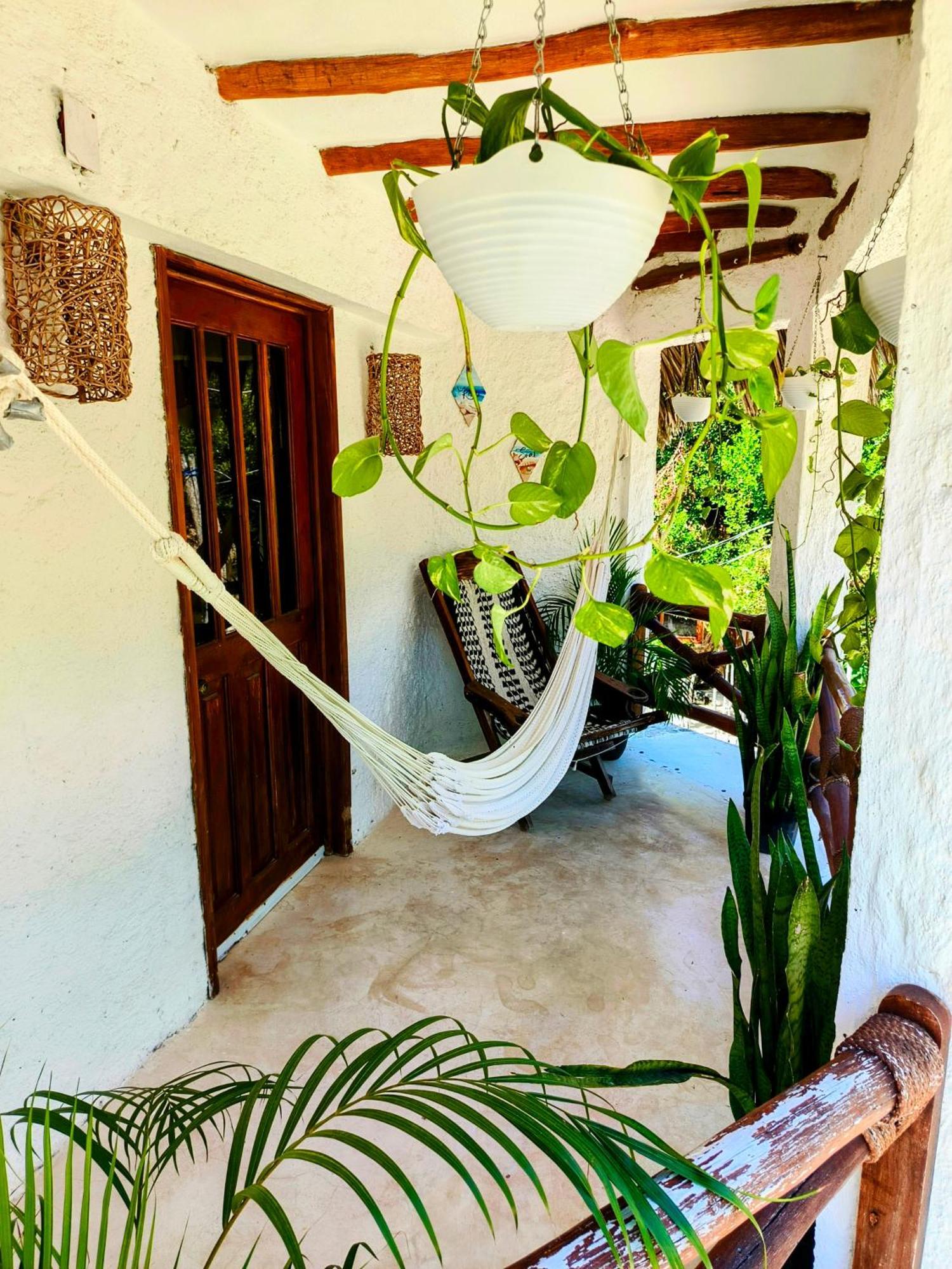 Arte Sano Vegan 3*