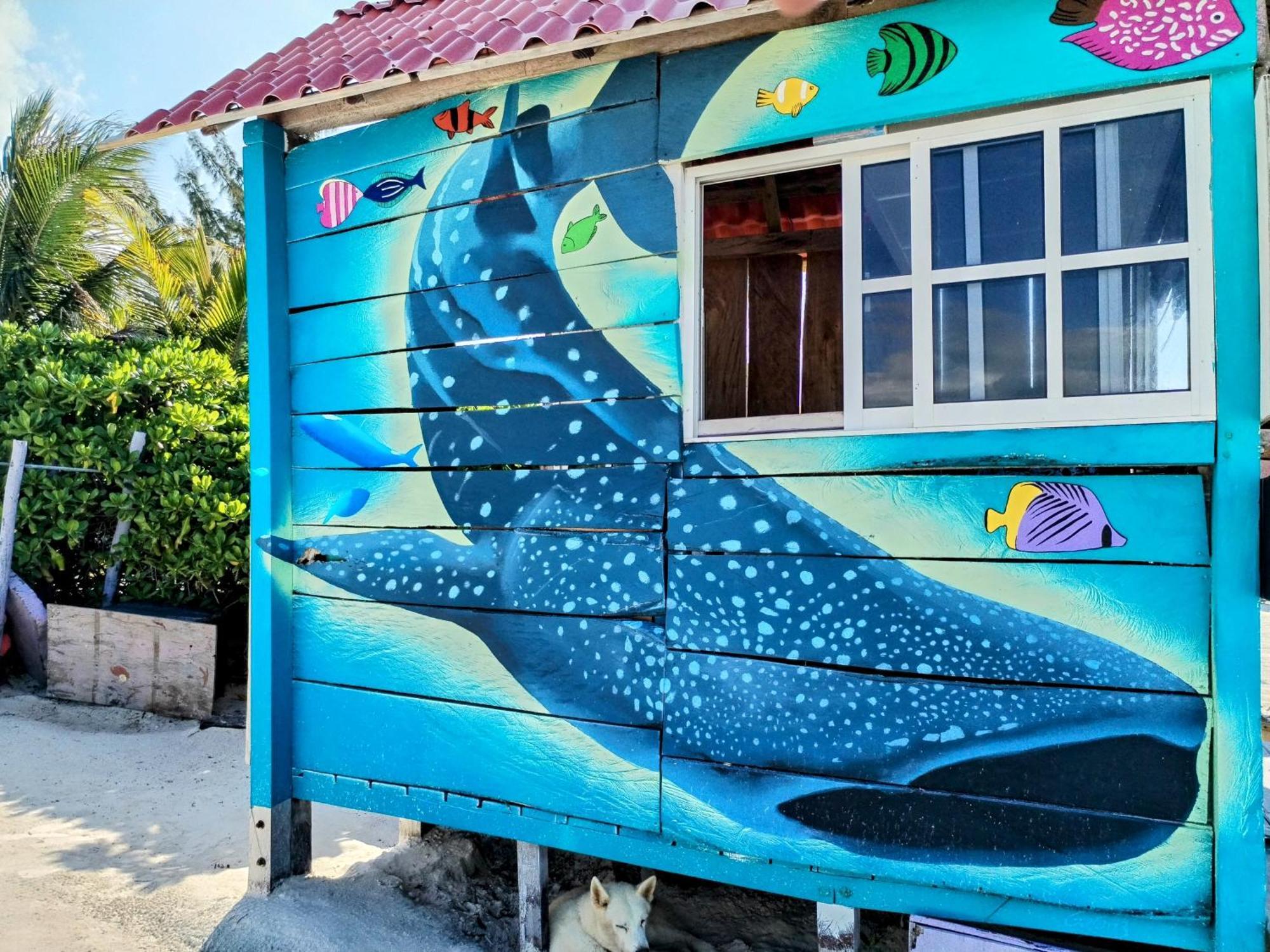 Arte Sano Vegan Hotel Isla Holbox